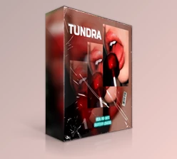 Download Losaddos TUNDRA Vocal One-Shots