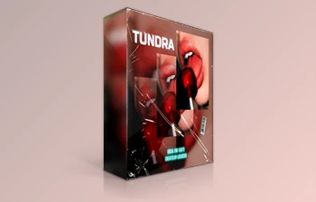 Download Losaddos TUNDRA <span class='badge badge-warning'>Vocal</span> One-Shots