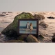 Download Summer Seashore Slideshow (Videohive 41719078) - AE Project