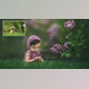 Download Lindsey’s Painterly Action Workflow Edit