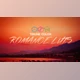 Download Triune Digital – Romance Luts