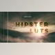 Download Triune Digital – Hipster Luts
