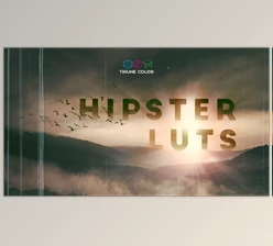 Download Triune Digital – Hipster Luts