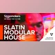Download Singomakers SLATIN Modular House WAV REX-FANTASTiC