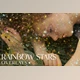 Download Rainbow Stars Overlays Creativemarket - 10906672