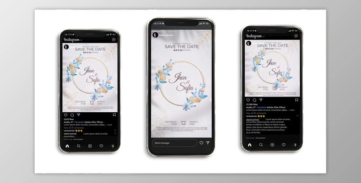Download Wedding Intro (3 in 1) (Videohive 41976890) - AE Project