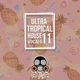 Download Ultra Tropical House Vocals 11 - Vandalism Sounds