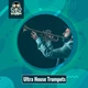 Download Ultra House Trumpets - Vandalism Sounds