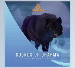 Download Sounds of Dharma Zen It Following The Waves Sound Pack