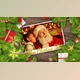 Download Christmas Photo Album (Videohive 42162119) - AE Project