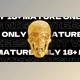 Download Gold Party Opener (Videohive 42121920) - AE Project