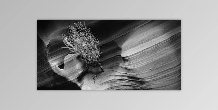 Download CreativeLive – Creating and Maintaining a Useful Digital Portfolio