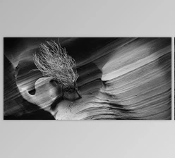 Download CreativeLive – Creating and Maintaining a Useful Digital Portfolio