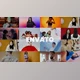 Download Creative Rhythmic Opener (Videohive 41996545) - PR Project