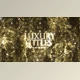 Download Luxury Gold Pattern Titles (Videohive 42347355) - AE Project