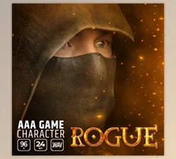 Download Epic Stock Media AAA Game Character Rogue