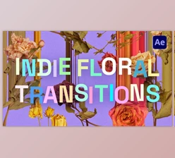 Download Indie Floral Transitions (Videohive 40119568) - AE Project