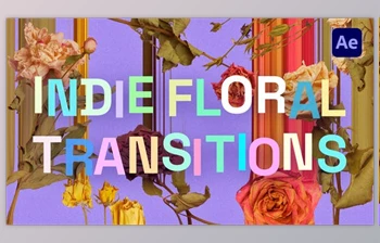 Download Indie Floral Transitions (Videohive <span class='badge badge-warning'>40119568</span>) - AE Project
