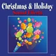 Download SR Fields Christmas and Holiday Sound Effects