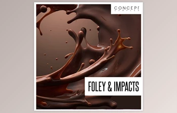 Download <span class='badge badge-warning'>Concept</span> Samples Foley and Impacts
