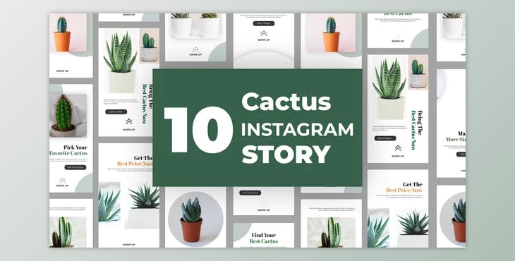 Download Cactus Instagram Story Pack (Videohive 33211459) - AE Project