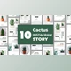 Download Cactus Instagram Story Pack (Videohive 33211459) - AE Project