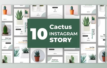 Download Cactus <span class='badge badge-warning'>Instagram</span> Story <span class='badge badge-warning'>Pack</span> (<span class='badge badge-warning'>Videohive</span> 33211459) - AE Project