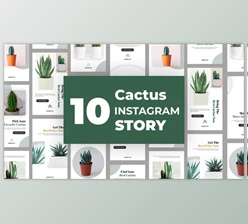 Download Cactus Instagram Story Pack (Videohive 33211459) - AE Project