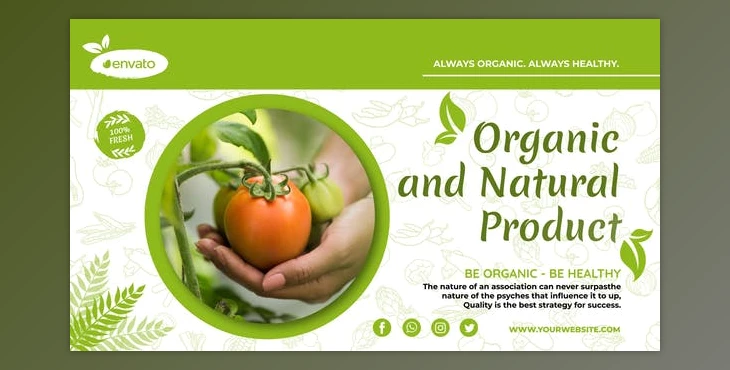 Download Organic Food Promo (Videohive 39429146) - AE Project