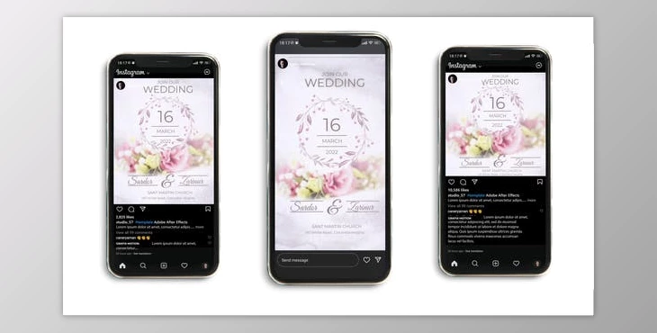 Download Wedding Invitation Instagram (3 in 1) (Videohive 42718562) - AE Project