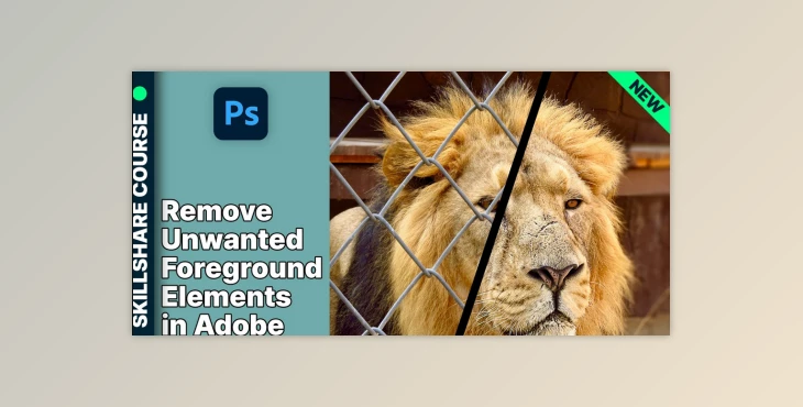 Download Remove Unwanted Foreground Elements in Adobe Photoshop