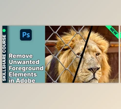 Download Remove Unwanted Foreground Elements in Adobe Photoshop