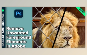 Download Remove Unwanted Foreground Elements in <span class='badge badge-warning'>Adobe</span> <span class='badge badge-warning'>Photoshop</span>