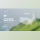 Download Infographic Maps with Pins (Videohive 40227438) - AE Project