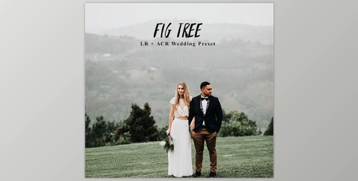 Download Andrewsuncolor – Fig Tree Lightroom Presets
