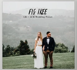 Download Andrewsuncolor – Fig Tree Lightroom Presets
