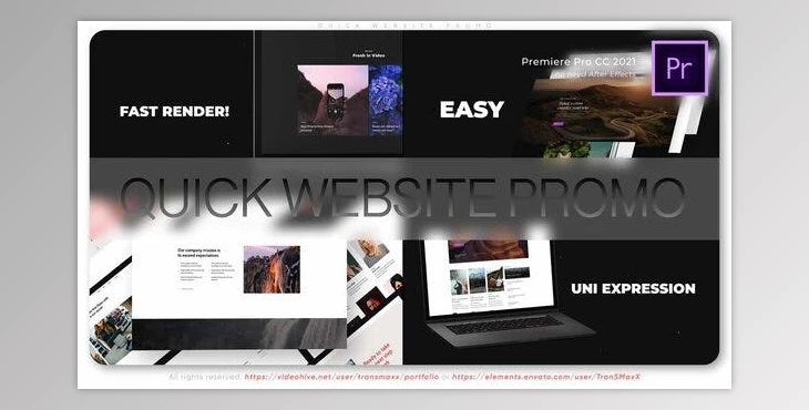 Download Website Promo (Videohive 42540434)
