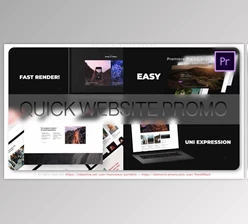 Download Website Promo (Videohive 42540434)