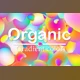 Download Big Bundle Organic Gradient Color Creativemarket - 10297982