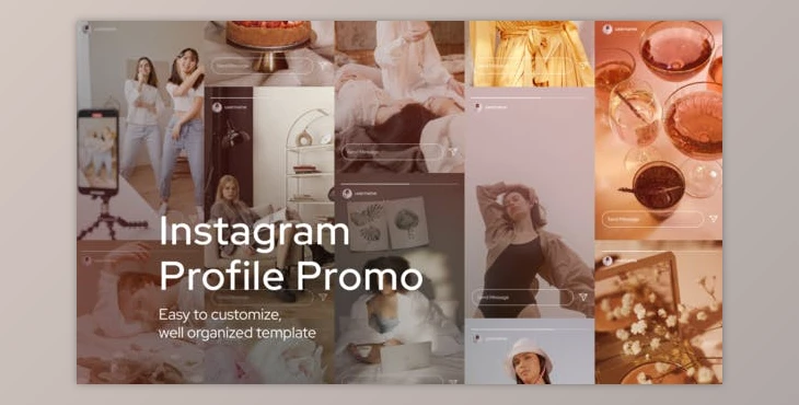 Download Instagram Profile Promo (Videohive 33267637) - AE Project