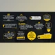 Download Quotes Lower Thirds (Videohive 42901482) - AE Project