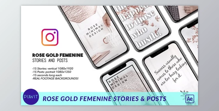 Download Rose Gold Feminine Stories and Posts (Videohive 41498144) - AE Project