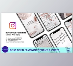 Download Rose Gold Feminine Stories and Posts (Videohive 41498144) - AE Project