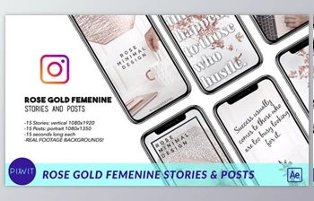 Download <span class='badge badge-warning'>Rose</span> Gold Feminine Stories and Posts (Videohive 41498144) - AE Project