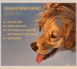 Download Gumroad – Dog Portrait Tutorial & Brush Pack
