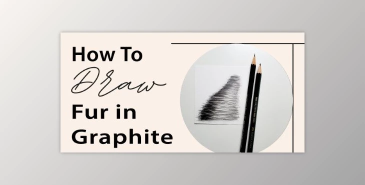 Download How to Draw Fur in Graphite