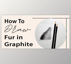 Download How to Draw Fur in Graphite