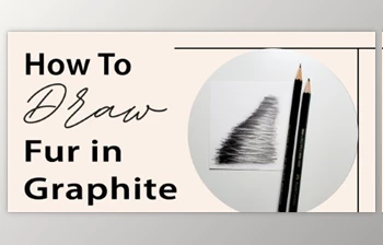 Download <span class='badge badge-warning'>How</span> to Draw Fur in Graphite