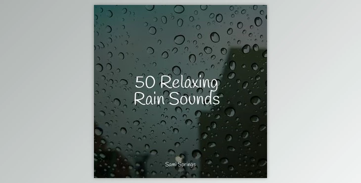 Download Pro Sound Effects Library 50 Soothing Winter Rain Sounds