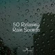 Download Pro Sound Effects Library 50 Soothing Winter Rain Sounds